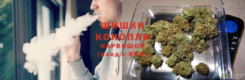 Бошки марихуана SATIVA & INDICA  даркнет сайт  Гай 